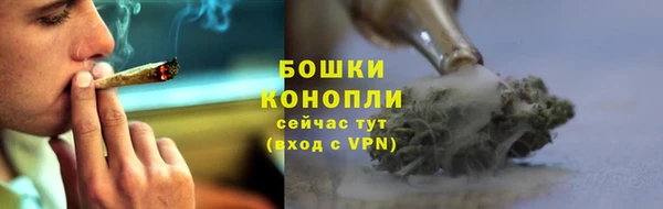 дживик Бронницы