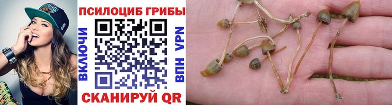 Псилоцибиновые грибы мицелий  Радужный 