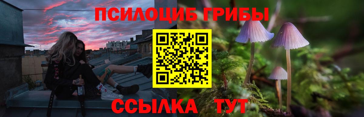 Радужный  Псилоцибиновые грибы прущие грибы  Псилоцибиновые грибы MAGIC MUSHROOMS  Вход с VPN 